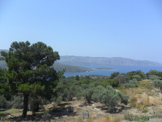 The colorful and beautiful nature on the Greek island of Samos in the Aegean Sea, Greece