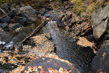 Waterfall in Autumn