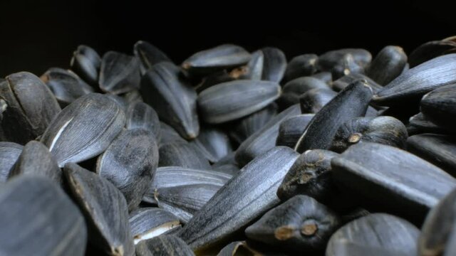 extremely close-up, detailed. a bunch of black seeds. copy space.