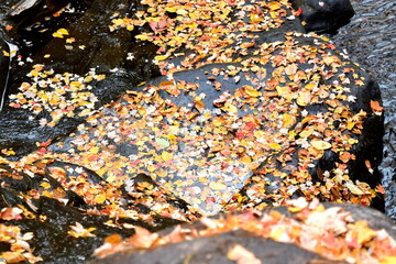 Waterfall in Autumn