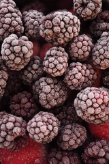Frozen fruit berries. Close-up macro with ice crystals on dark purple blackberries. Red strawberries and raspberries are behind.