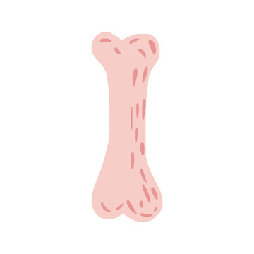 Pink bone isolated on white background. Simple bone size middle sketch hand drawn in style doodle.