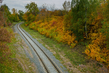 railroad track in autumn forest . abandoned forest road in autumn forest. Old railway in autumn...