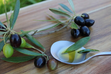 Branche d'olives et cuillère d'huile d'olive