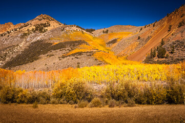 Fototapeta premium Autum in the Mountains