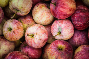 Freshly harvested apples on the table. Selective focus. Shallow depth of field.