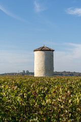 beautiful fall colors in the vineyards in Gironde near Bordeaux with an old water tower