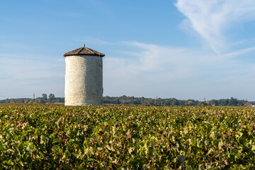 beautiful fall colors in the vineyards in Gironde near Bordeaux with an old water tower