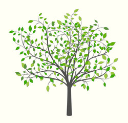 Drawing of a tree with green and yellow leaves