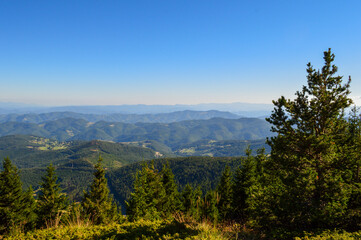 Autumn in Rodopi Mountain