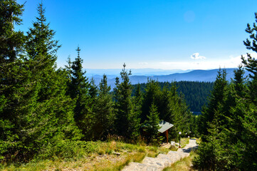 Autumn in Rodopi Mountain