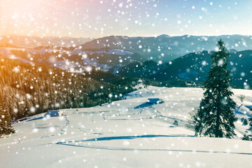 Winter Christmas landscape at dawn. Human footprint track path in crystal white deep snow through empty field, woody dark mountain range, large snowflakes on clear blue sky copy space background.