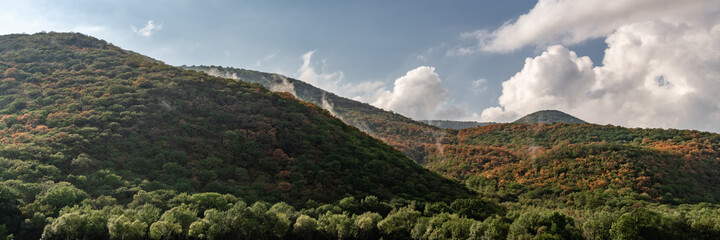 Panorama of green hills covered with forest