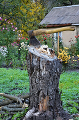 An old felled tree. The ax is stuck in a tree stump. Garden photography. Vertical photo.