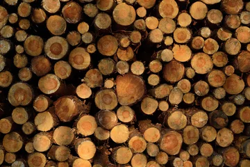 Möbelaufkleber Stack of woodpile. © MarcWytrzyszczewski