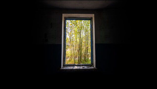 Fototapeta view from the window of an abandoned abandoned house in the village of Ukraine