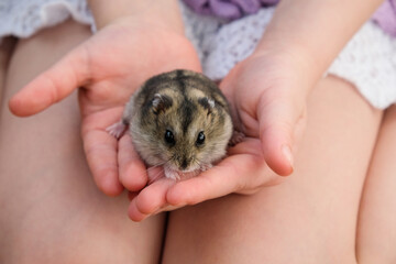 Girl holding a hamster in her arms