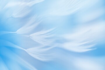 Abstract light-blue background , abstract dandelion flower