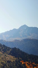 mountains, forest, autumn,