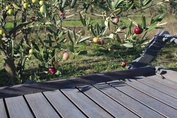 Table en bois avec arrière-plan olivier, feuillage avec des olives