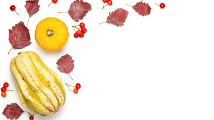 Thanksgiving dinner. Autumn Natural food with orange pumpkin, fall dried leaves, rowan berries isolated on white background. Template fall harvest halloween anniversary invitation cards.