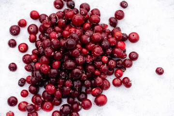 Frozen cranberries in the snow. Close up.