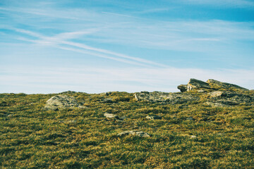 View of some large rocks on the ground among the grass