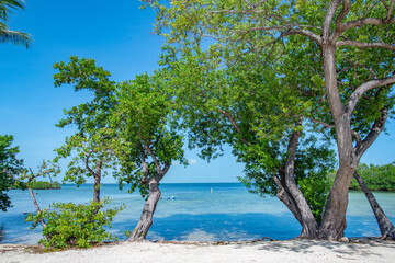 Tropical Florida Keys Ocean Paradise Islamorada