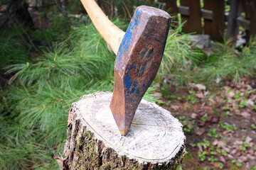 wood cutting axe ax in elm cord wood block