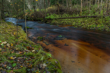 Jezerni creek in autumn color morning with red water and green beautiful forest
