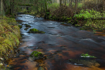 Jezerni creek in autumn color morning with red water and green beautiful forest