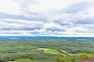 Obraz premium Rubber Tree Forest from Wat Phu Tok in Bueng Kan Province