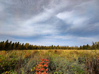 Fototapeta premium Landscape of fields and forests in the distance during the autumn period.