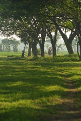 Winding footpath in a country side in the morning