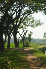 Winding footpath in a country side in the morning