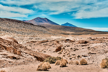 Laguna colorada in Bolivia, Amazing landscape