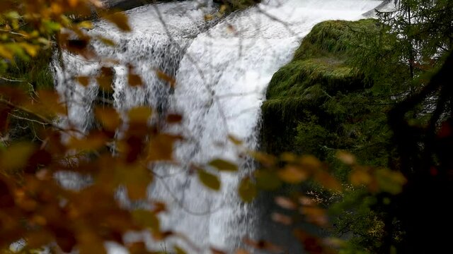 Der Traunfall - ein Wasserfall der Traun in Ober&ouml;sterreich zwischen Steyrerm&uuml;hl und Roitham am Traunfall, Europa, &Ouml;sterreich