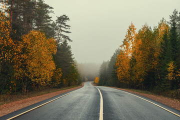 Fototapeta premium Autumn and foggy road in Pskov region, Russia