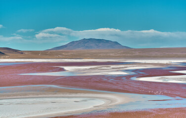 Laguna colorada in Bolivia, Amazing landscape