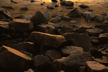 Gulf shore, surf strip, scattering of granite stones, wet sand gilded by the evening sun