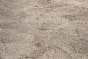 Rough concrete surface with circular trowel marks and dog prints