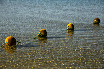Fototapeta na wymiar Yellow old round buoys enclosing the swimming area for children. Shallow water in the morning. Sun glare at the bottom of the sea. Four items