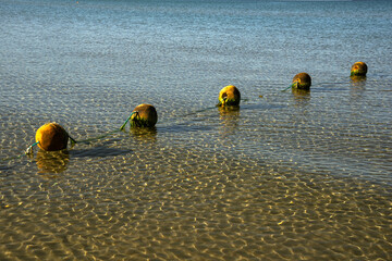 Yellow old round buoys enclosing the swimming area for children. Shallow water in the morning. Sun glare at the bottom of the sea. Five items