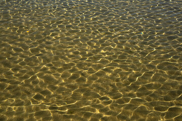 Sun ripples on the sandy seabed. Shallow water on a sunny day. Tiny wave. Morning sun. Close-up.