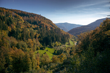 Fototapeta na wymiar Herbst im Schwarzwald