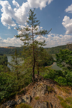 Die Saale im Th&uuml;ringer Wald