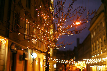 Stylish illuminated tree with warm golden lights, festive decor of street or building front