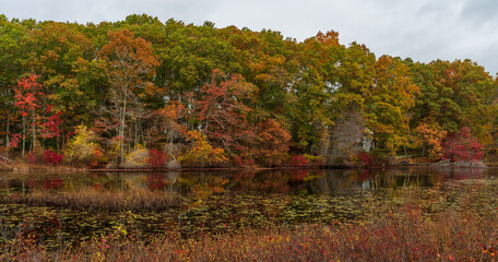 A pond in Rhode Island