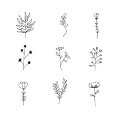 Hand drawn flowers doodle design collection isolated on white background