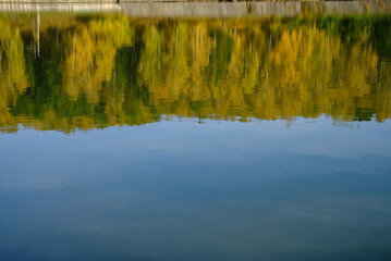 reflections in the water